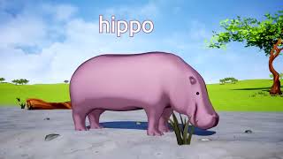 Wild animals name and sound