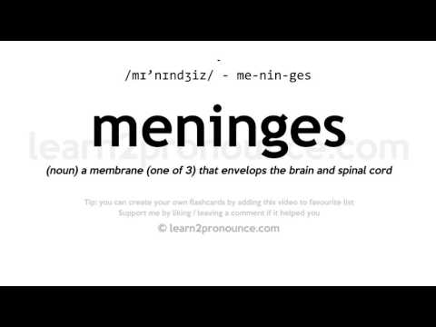 Произношение мозговые оболочки | Определение Meninges