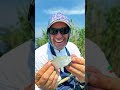 Coarse Angling EUROPEAN Championship Lake Deseda 2023 Mftackle Fishing Champion Feed риболов