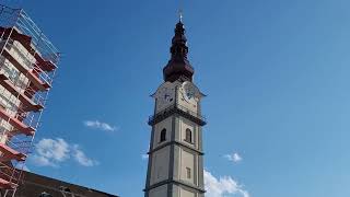Lena Sitzt Am Heuplatz Wieder Am Trompetenbaum. D