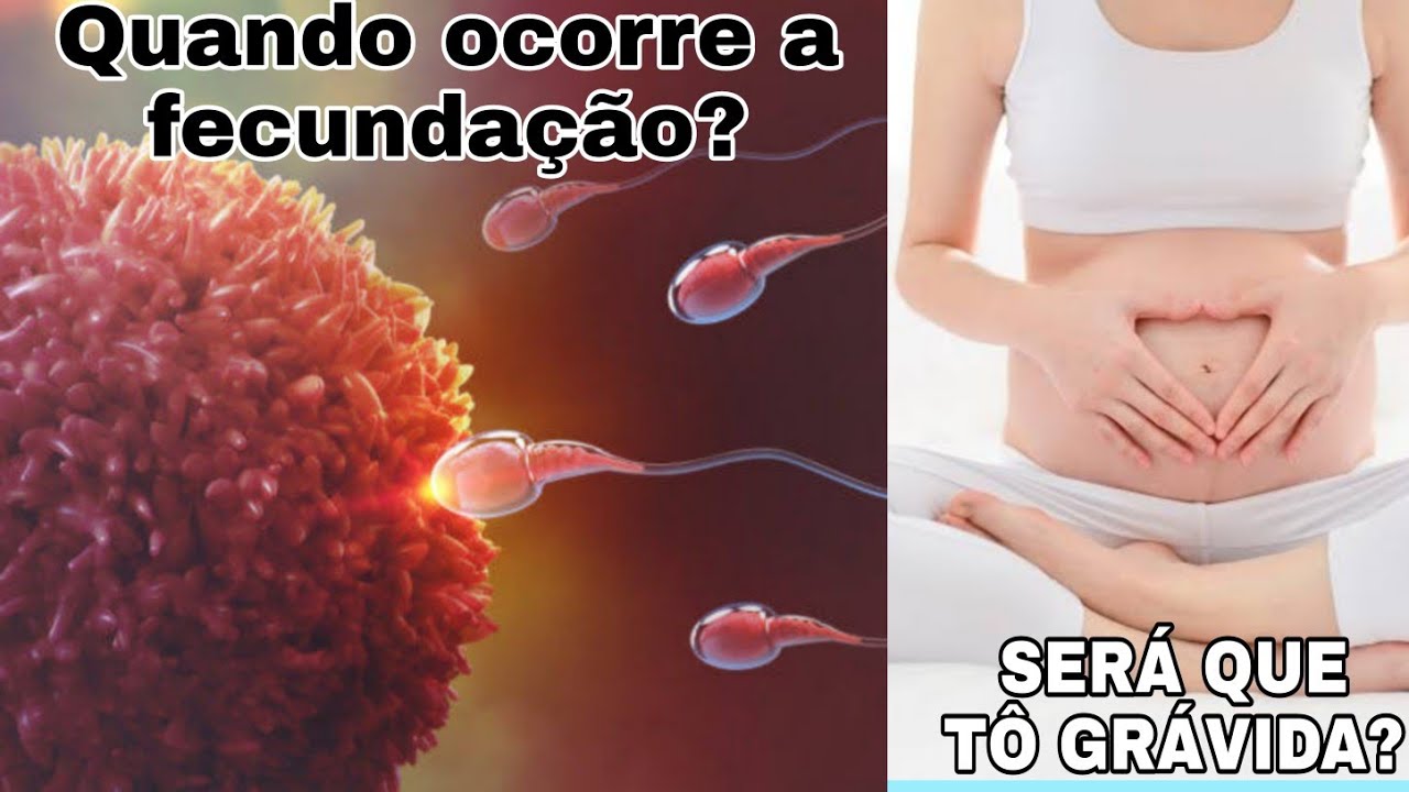 Sinais De Implantação Do Embrião - NAZAEDU