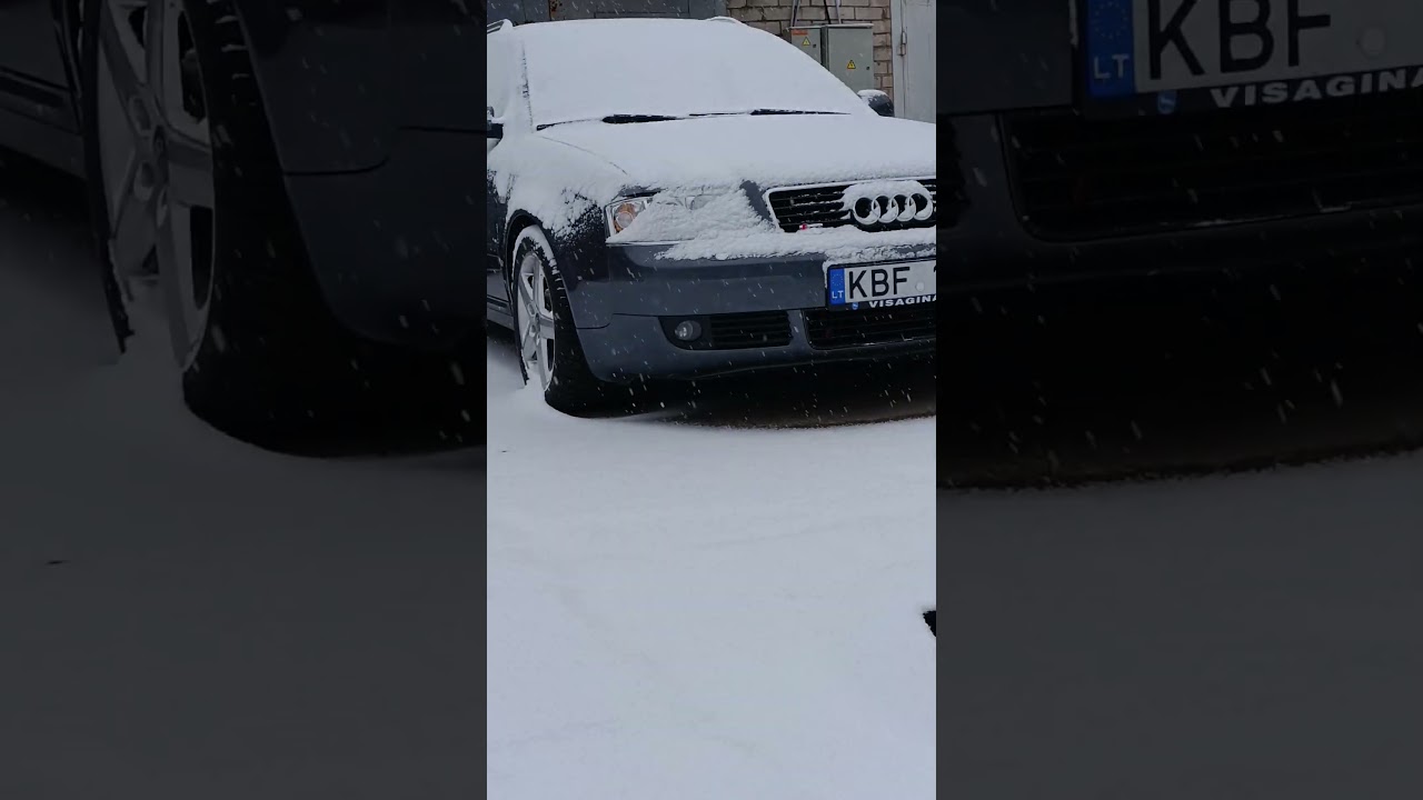 ОТДЫХАЕТ МАЛЫШКА | AUDI A6 C5