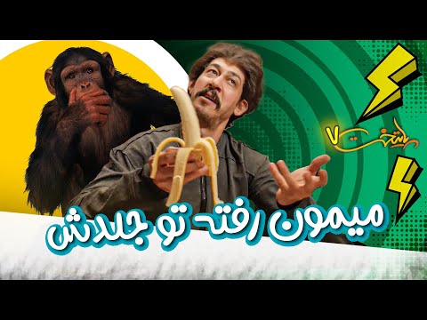 میمون رفته تو جلدش پایتخت 7 