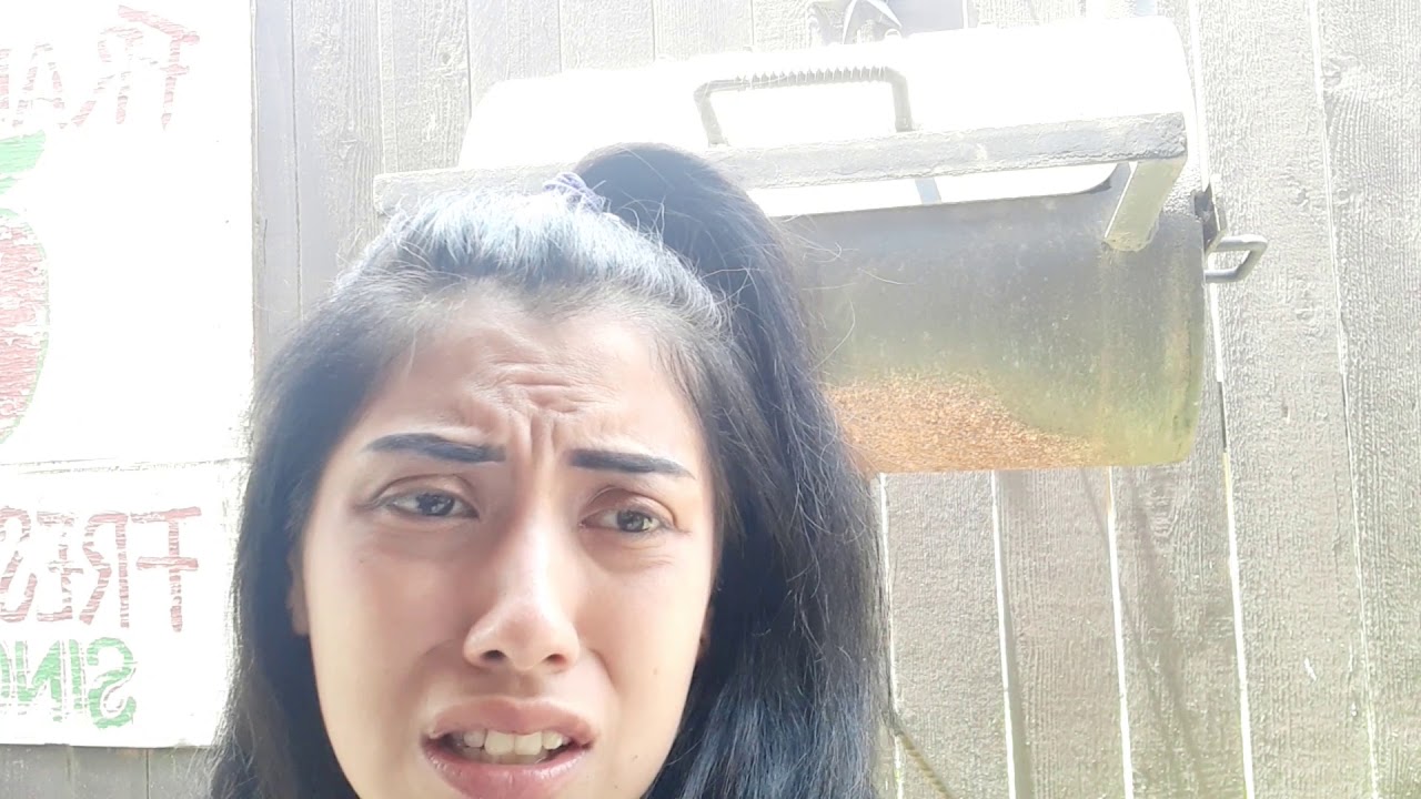 smoke sesh WAKE N BAKE 🥰💨🌬💚