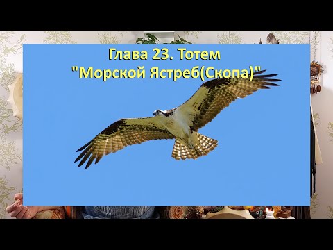 Тотем Морской Ястреб (Скопа). Глава 23. Хранитель Белтайм (1 мая) \