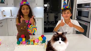 Heidi dan Zidane membuat kue untuk ulang tahun anak kucing itu dan cerita anakanak berguna lainnya