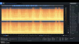 DGM Audio Restoration - Digitizing Vinyl Records