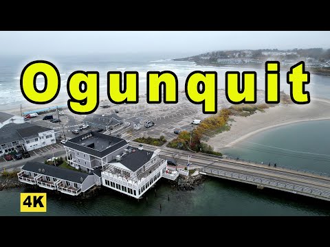 Wideo: Czy psy mogą chodzić na plażę ogunquit?