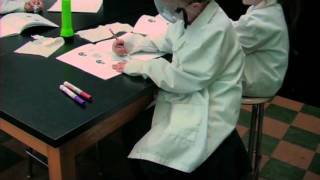 LabLearner and Literacy