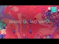 Kids science experiment mixing oil and water