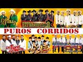 CORRIDOS VIEJITOS PERO CHINGONES: Los Tigres del Norte, Pesado, Palomo, Intocable... y mas