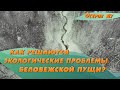 Экологические проблемы у Беловежской пущи | Беловежская пуща – Остров Ду с Еленой Вахромеевой