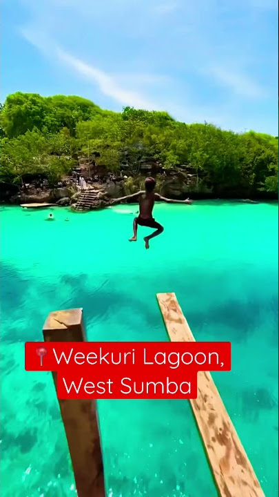 Exploring the beautiful Weekuri Lagoon, in West Sumba! 🇮🇩😍🗺📸🧳✈️🏝| #shorts #travel #indonesia