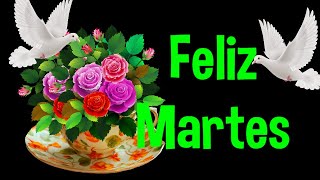 Saludos de Buenos Dias Feliz Martes Abre este hermoso Mensaje El video mas bello