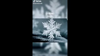 Download Lagu Beautiful music! One Trim of Plum Blossom. TikTok sammichow08 MP3 Download Lagu Beautiful music! One Trim of Plum Blossom. TikTok sammichow08 MP3