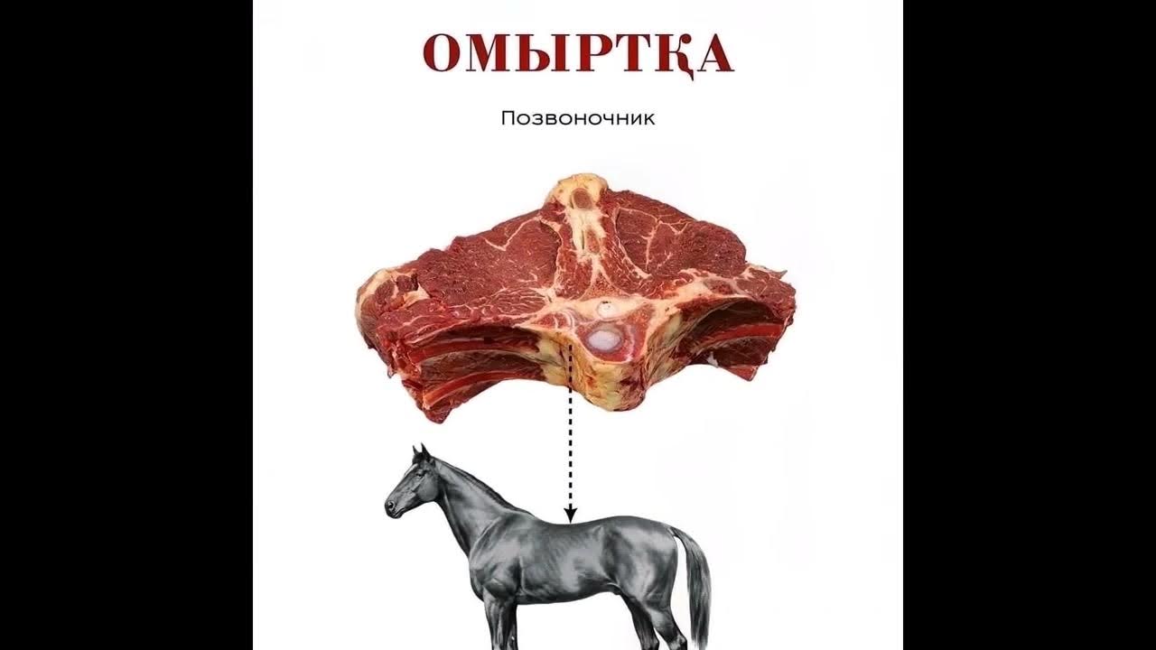 Араб гарем порно