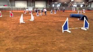 Daisy 1st place jumpers run Twister Agility USDAA trial in Purcell, Ok 4/18/2014