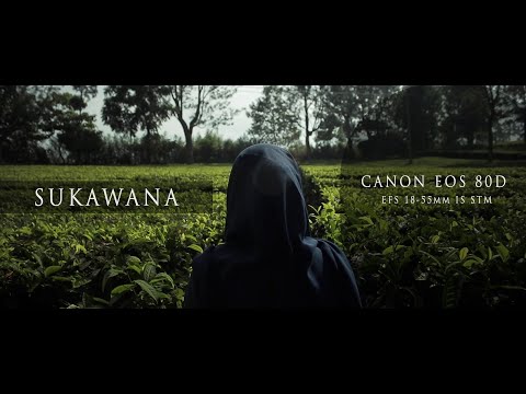 CANON EOS 80D Cinestyle profile cinematic shoot test (Sukawana Tea Field)