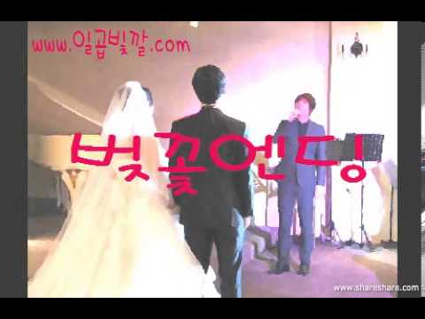 www.일곱빛깔.com