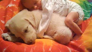 AWW CUTE BABY ANIMALS - Best Funniest Cats And Dogs Videos 😺😍 by Cute Kiki 14,193 views 1 year ago 9 minutes, 24 seconds