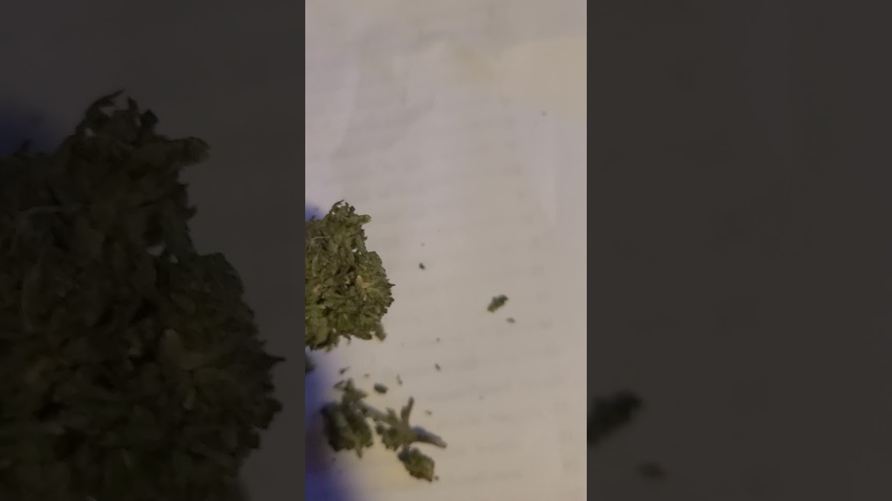 Delta 8 THC CBD Hemp Flower - Strawberry Cough Strain Review Part 1 - Oregon Hemp Flower