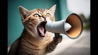 [STREAM 1] Grief 60-68x2 65-74 71-77. Jumping from acu.