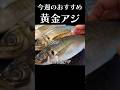旬の黄金アジを捌いて刺身となめろうで味わう　#shorts #アジ #刺身 #つまみ #赤坂阿吽　#捌き