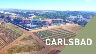 What Makes Carlsbad a Unique Location