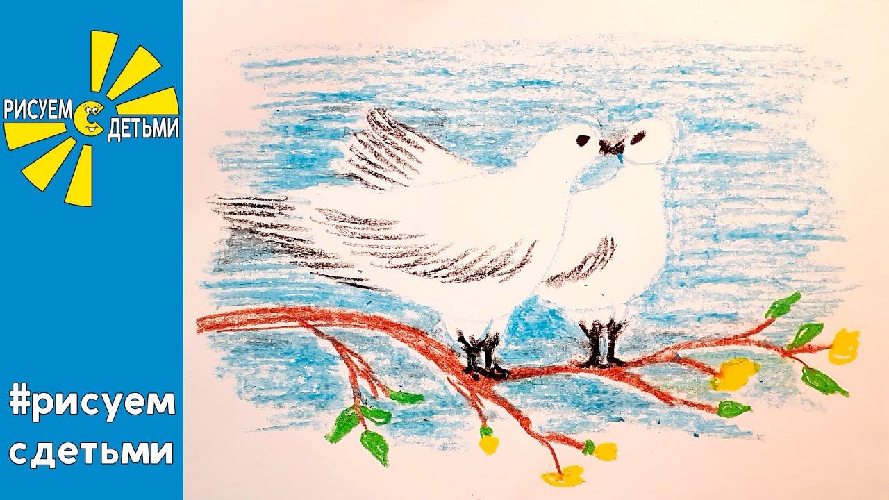 Мы рисуем голубя песня слушать. Весенние голуби рисовать. Голуби весной рисунок. Нарисовать голубя карандашом поэтапно.
