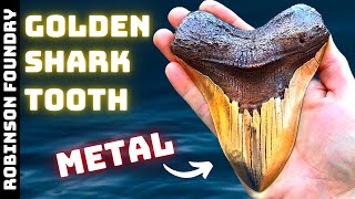 Casting a Bronze Megalodon Tooth │Shark tooth fossil