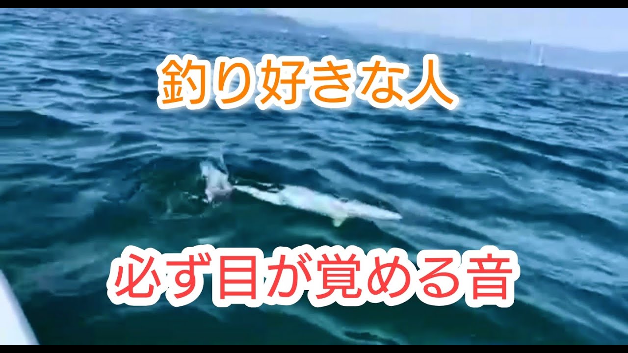 目覚まし音 釣り好きな人なら必ず目が覚める Youtube 目覚まし音 釣り好きな人なら必ず目が覚める Youtube