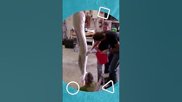 Thumbnail of H2O - How they made the Mermaid Tails!