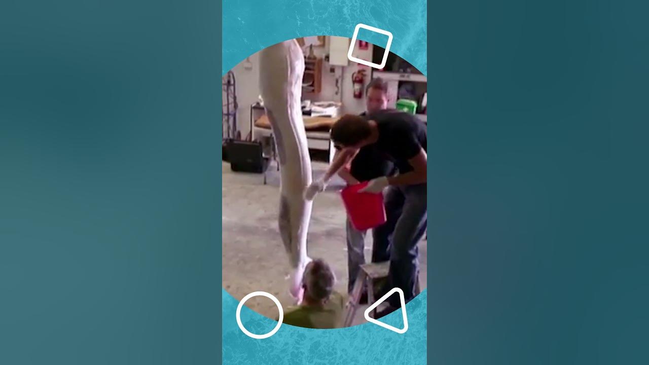 H2O - How they made the Mermaid Tails!