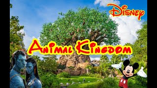 Animal Kingdom Tour Completo | Walt Disney World 4K | Gigi Aventuras