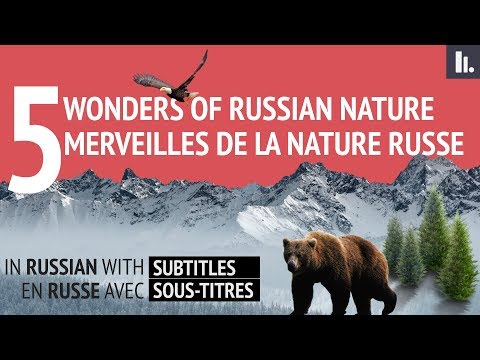 Vidéo: Nature russe. forêts russes. Description de la nature russe