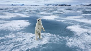 Bill Gates Says Government Should Take Long-Term View on Climate Change