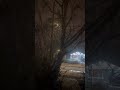 It is snowing… snowstorm at night