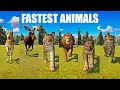 The fastest animals speed races in planet zoo included cheetah lion moose cougar antelope lynx