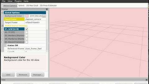Rviz problem (ROS)