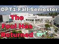 Dpt1 fall the fool has returned