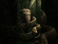 Attack Of The Giant Snake What Will Happen To The Elephant Attack Of The Giant Snake What Will Happen To The Elephant