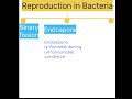 Reproduction in bacteria #part1 #uptgtbiology  #uppgtbiology #neet  #kvspgtbiology