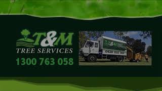 Tree Loppers Near Me Is Here  Tree Loppers Near Me