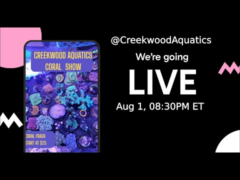 Creekwood aquatics marine and coral frags