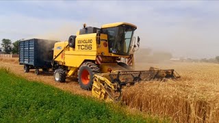 wheat harvesting machine/ ghandam ki ketai wali  machine/villageculturescrets