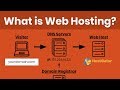 What is Web Hosting? Beginners Guide to Domains, DNS Settings & Difference Between Host Types
