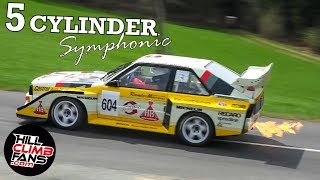 5 Cylinder PURE SOUND ☆ Hill Climb Pöllauberg 2018