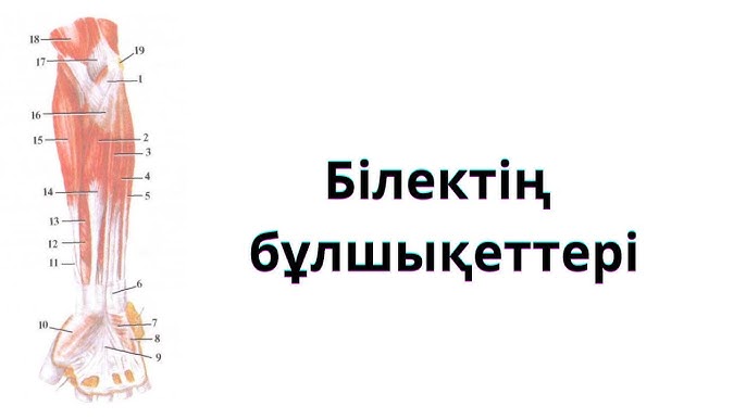 Жалаңаш Наташа Лион