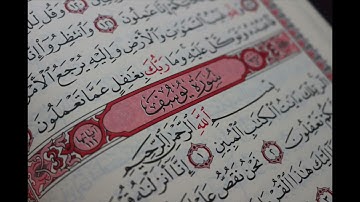 سورة يوسف بصوت القارئ برهيزكار