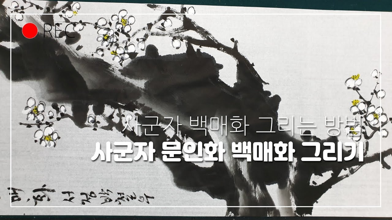 사군자 백매화 그리기 - YouTube